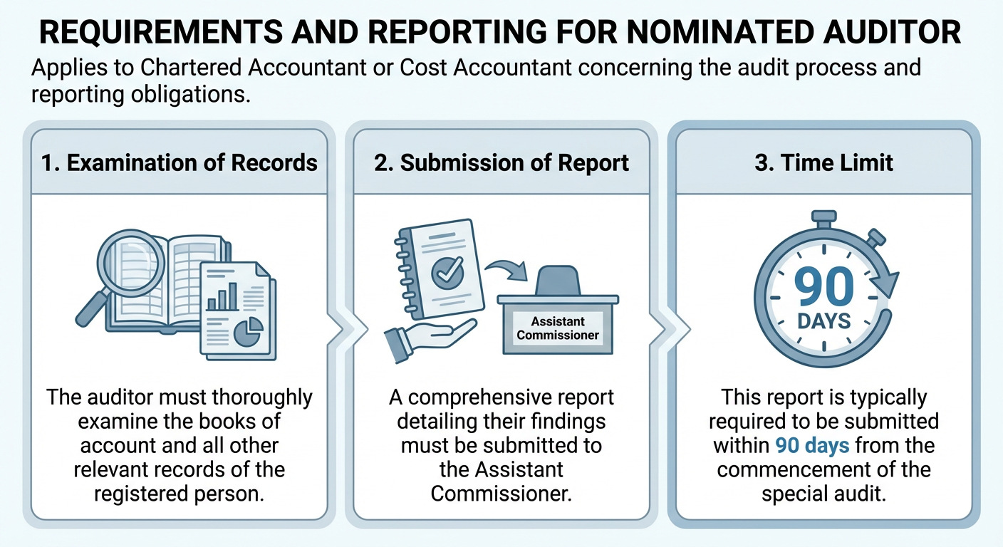 Authorization and Conduct of Audit
