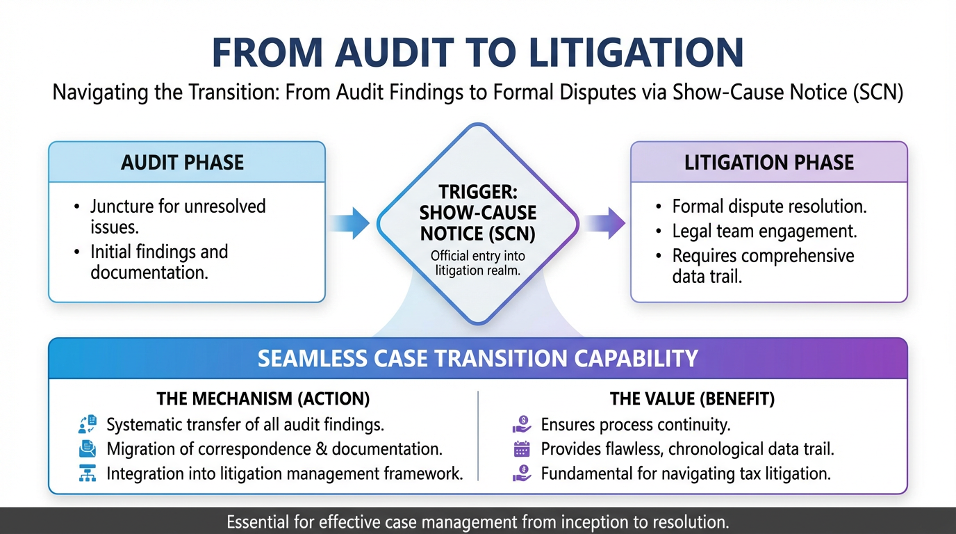 From Audit to Litigation
