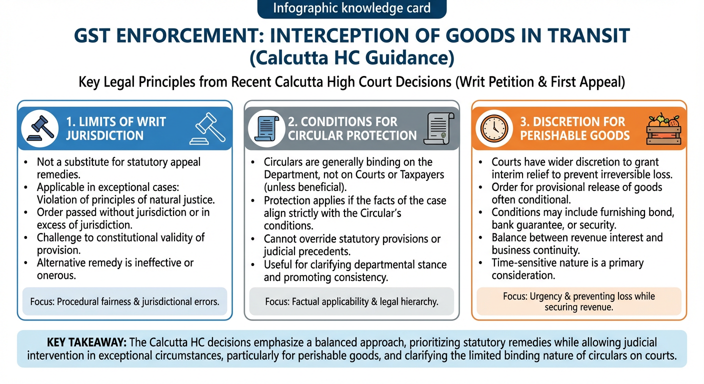 GST Enforcement in Transit